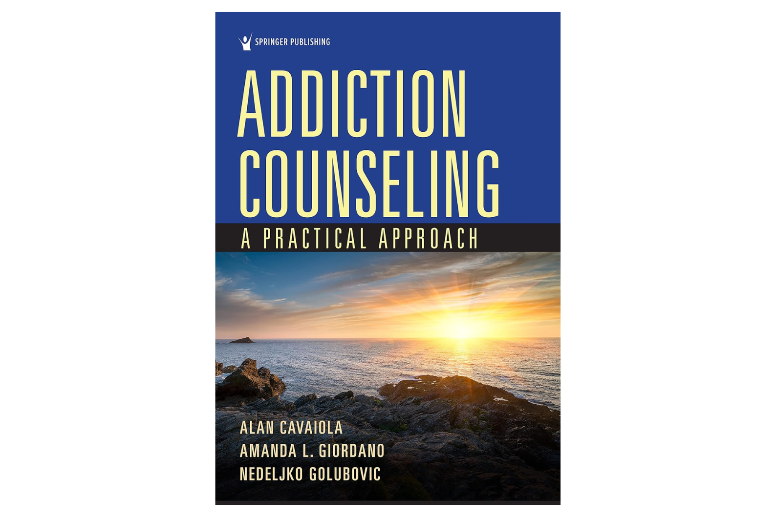 Addiction Counseling: A Practical Approach (1st Edition)