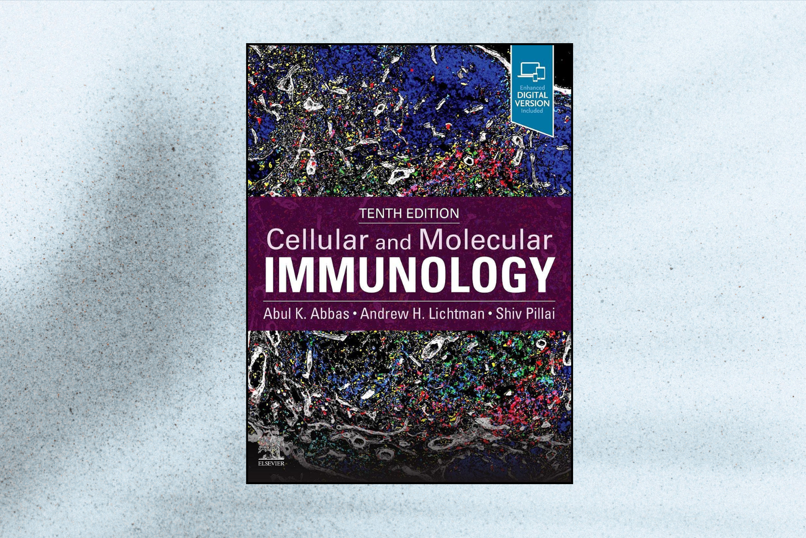 Cellular and Molecular Immunology (10th Edition)