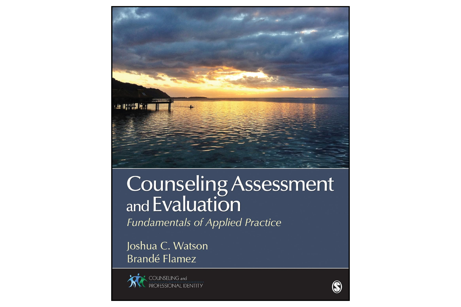 Counseling Assessment and Evaluation: Fundamentals of Applied Practice (1st Edition)