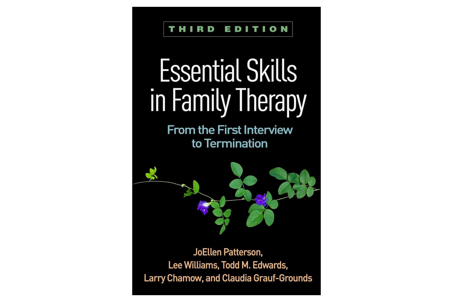 Essential Skills in Family Therapy: From the First Interview to Termination (3rd Edition)