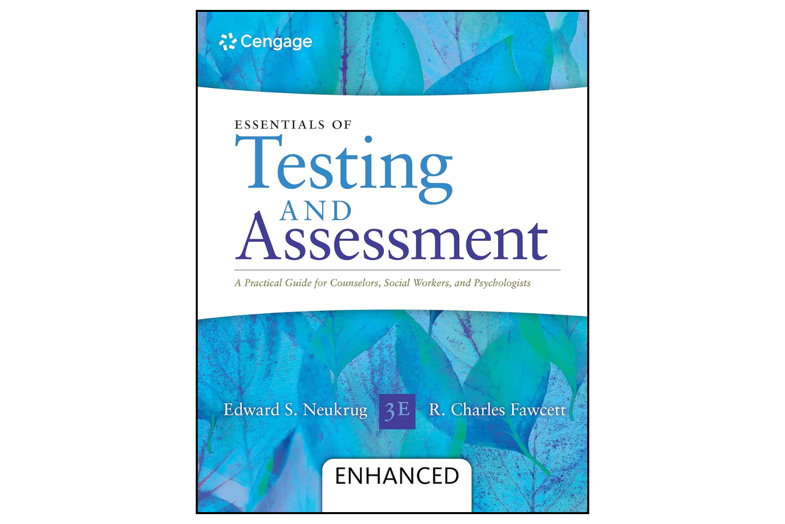 Essentials of Testing and Assessment: A Practical Guide for Counselors, Social Workers, and Psychologists (Enhanced 3rd Edition)