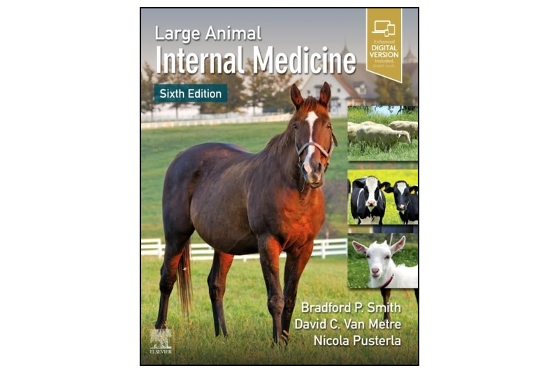 Large Animal Internal Medicine 6th Edition