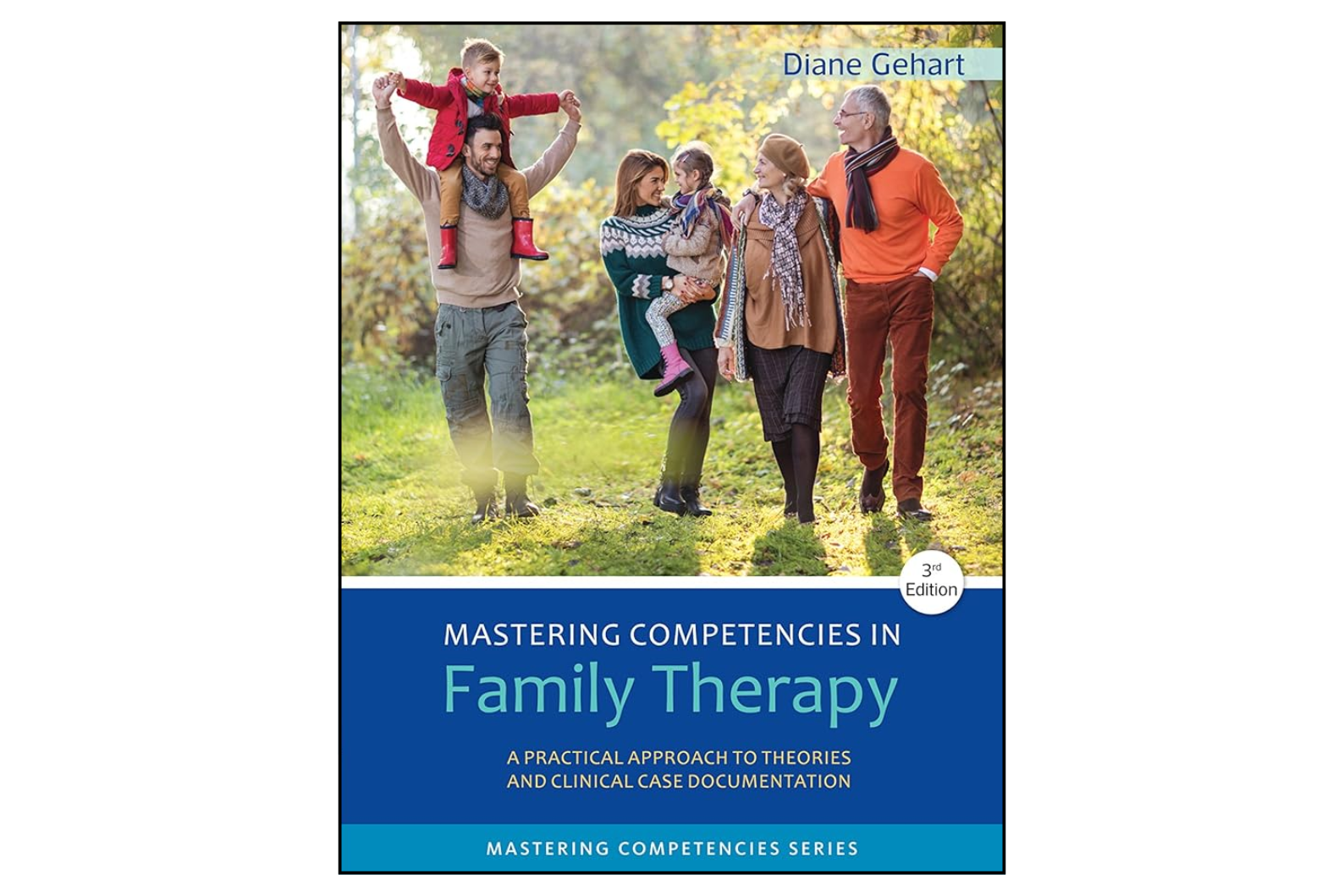 Mastering Competencies in Family Therapy: A Practical Approach to Theories and Clinical Case Documentation (3rd Edition)