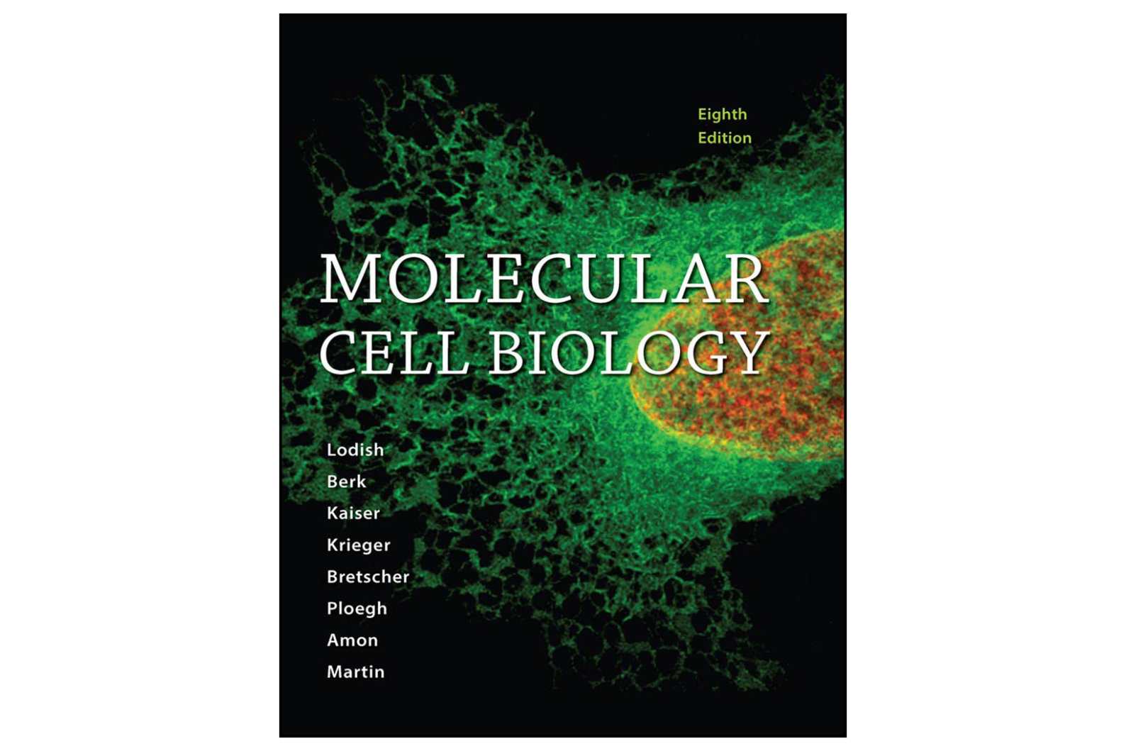 Molecular Cell Biology Eighth Edition
