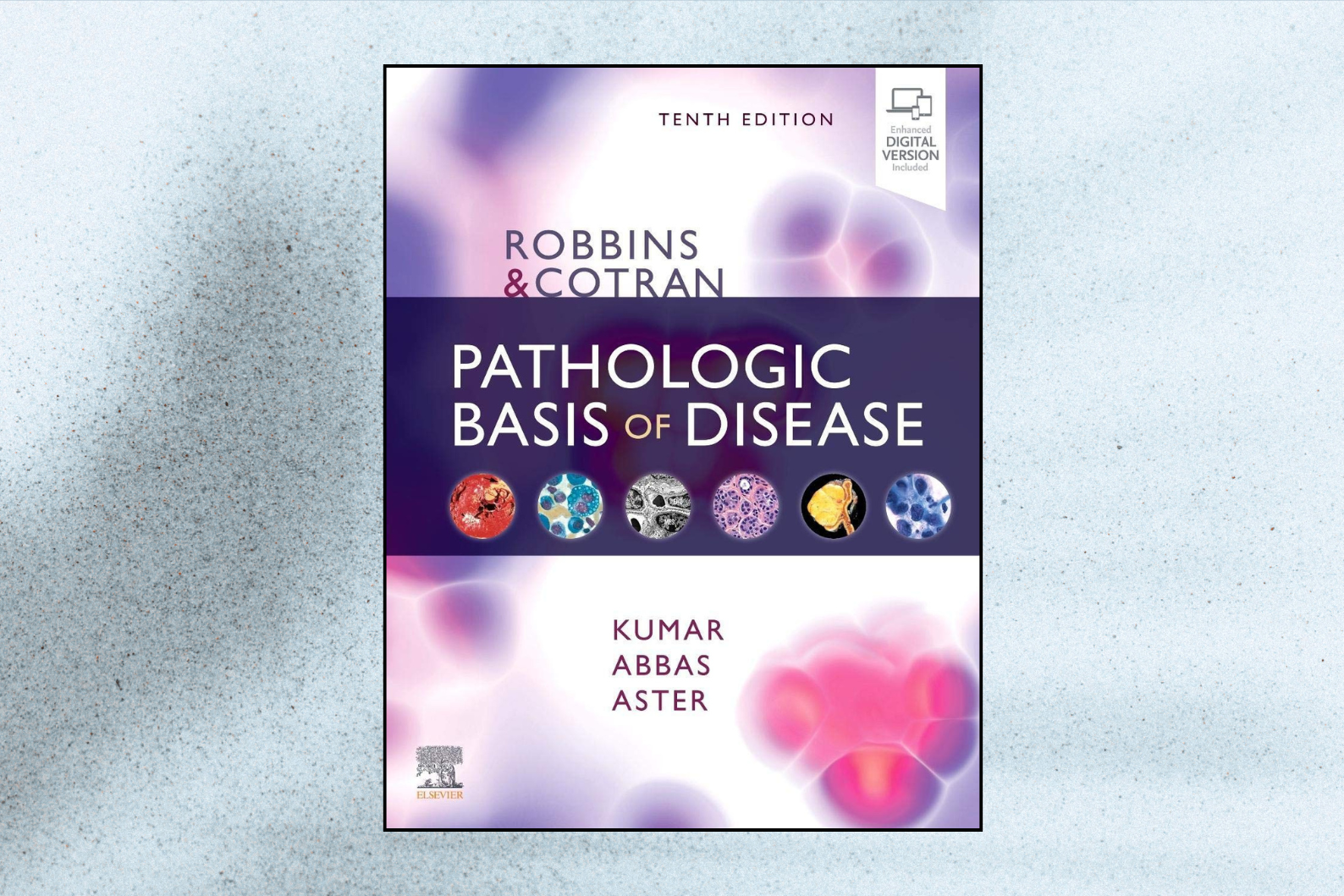 Robbins & Cotran Pathologic Basis of Disease (10th Edition)