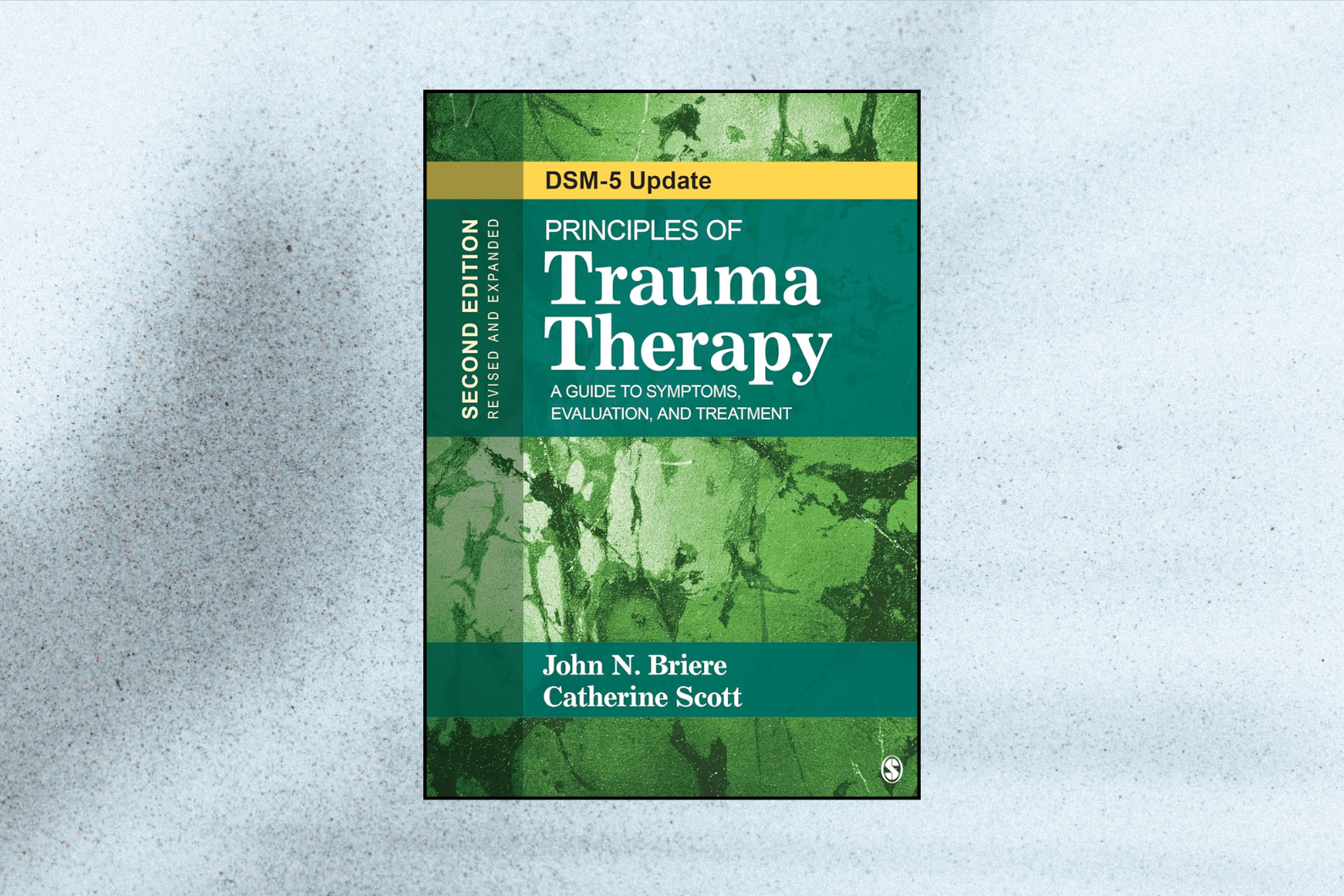 Principles of Trauma Therapy: A Guide to Symptoms, Evaluation, and Treatment (DSM-5 Update, 2nd Edition)