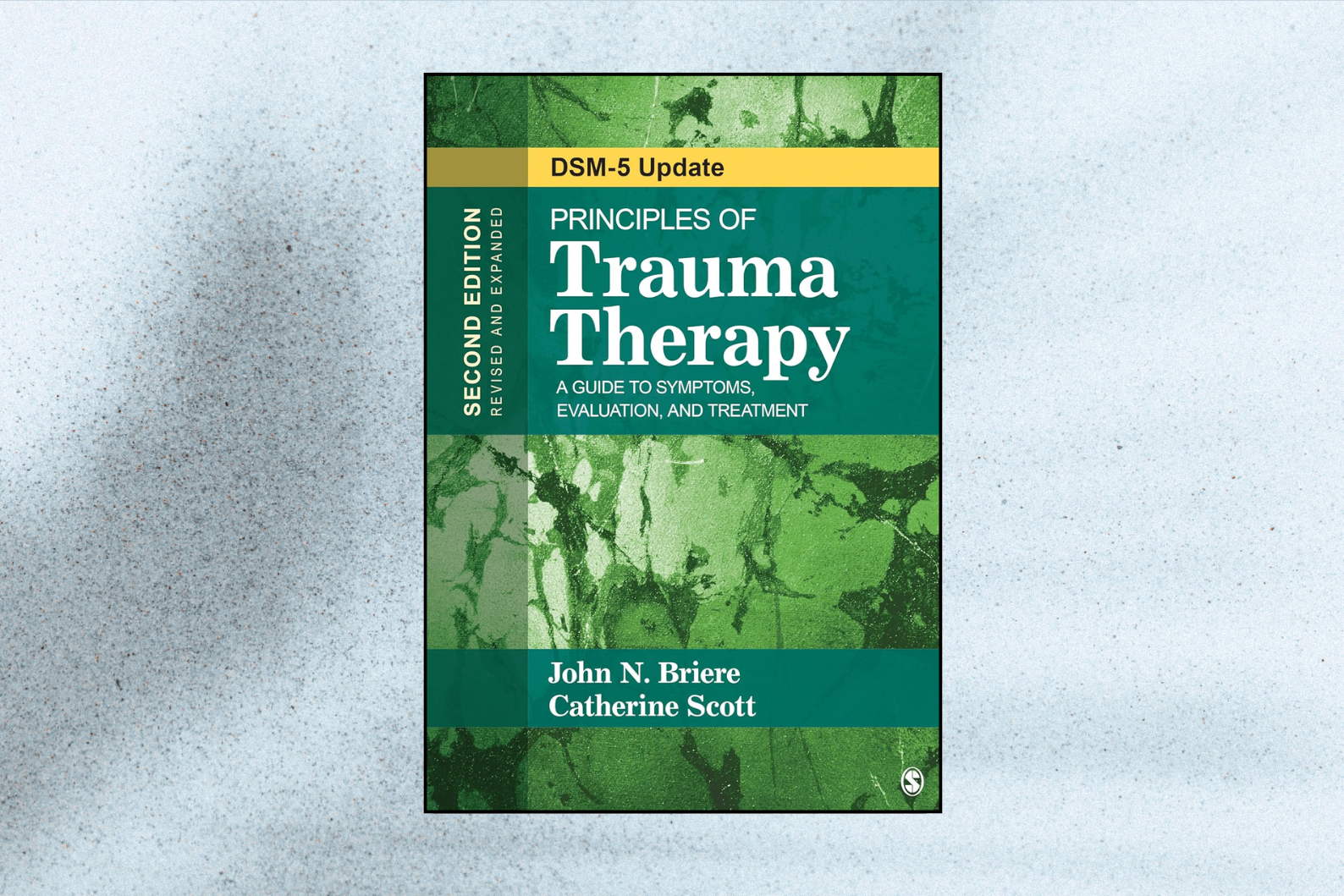 Principles of Trauma Therapy A Guide to Symptoms, Evaluation, and Treatment (DSM-5 Update, 2nd Edition)