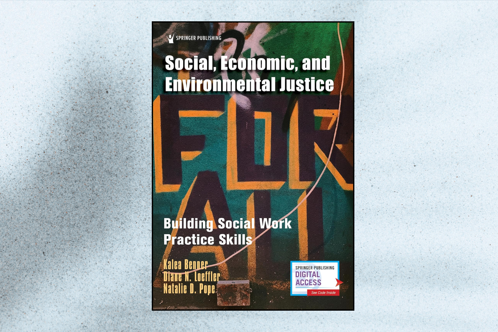 Social, Economic, and Environmental Justice: Building Social Work Practice Skills (1st Edition)