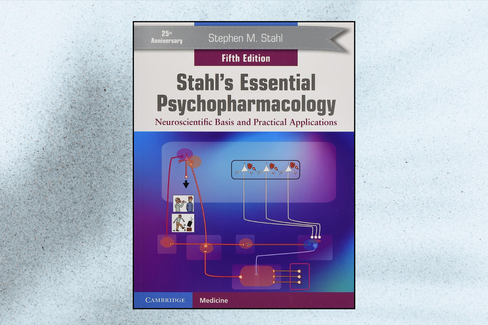 Stahl's Essential Psychopharmacology: Neuroscientific Basis and Practical Applications (5th Edition)